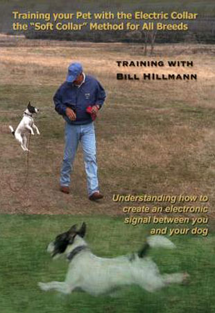 Training your Pet with the Electric Collar with Bill Hilmann
