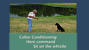 Collar Conditioning