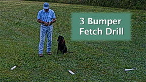 3 bumper fetch drill