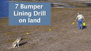 7 bumber lining drill