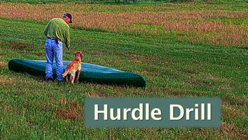 hurdle drill