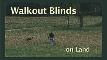 walkout blinds